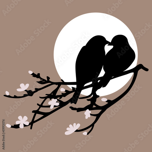 Two birds