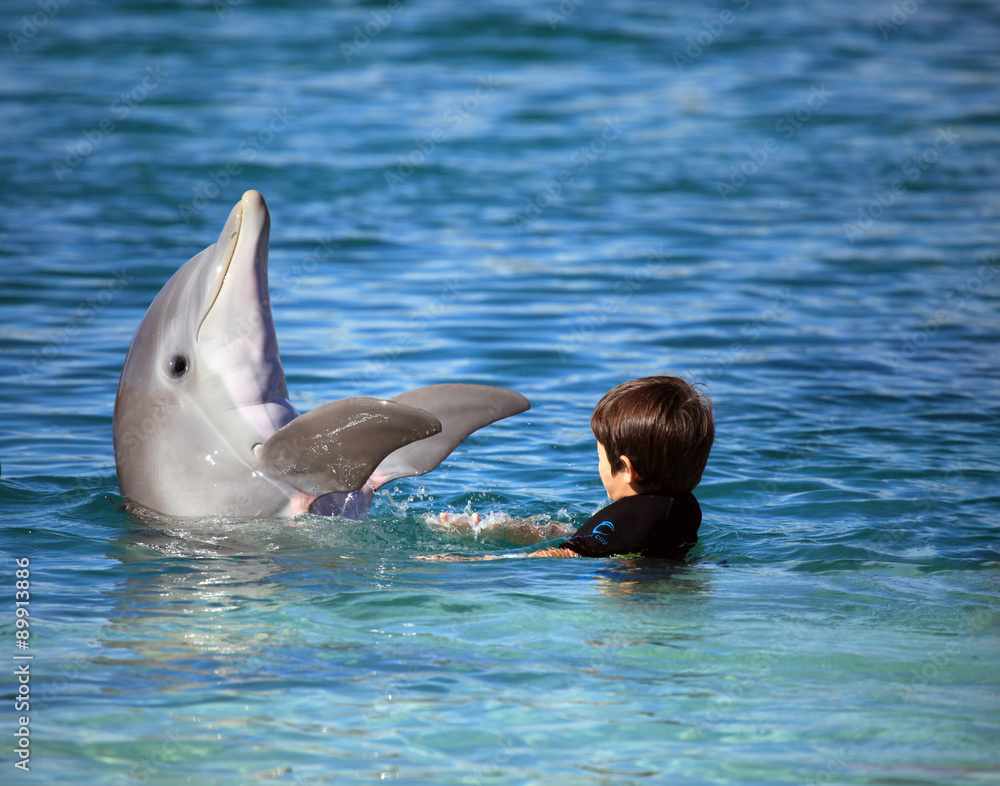 Fototapeta premium Dziecko bawi się słodkim delfinem w błękitnej wodzie