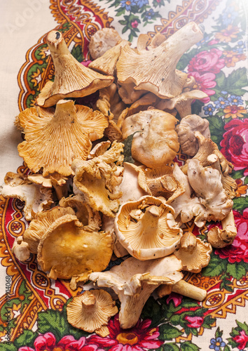 Raw chanterelle mushrooms