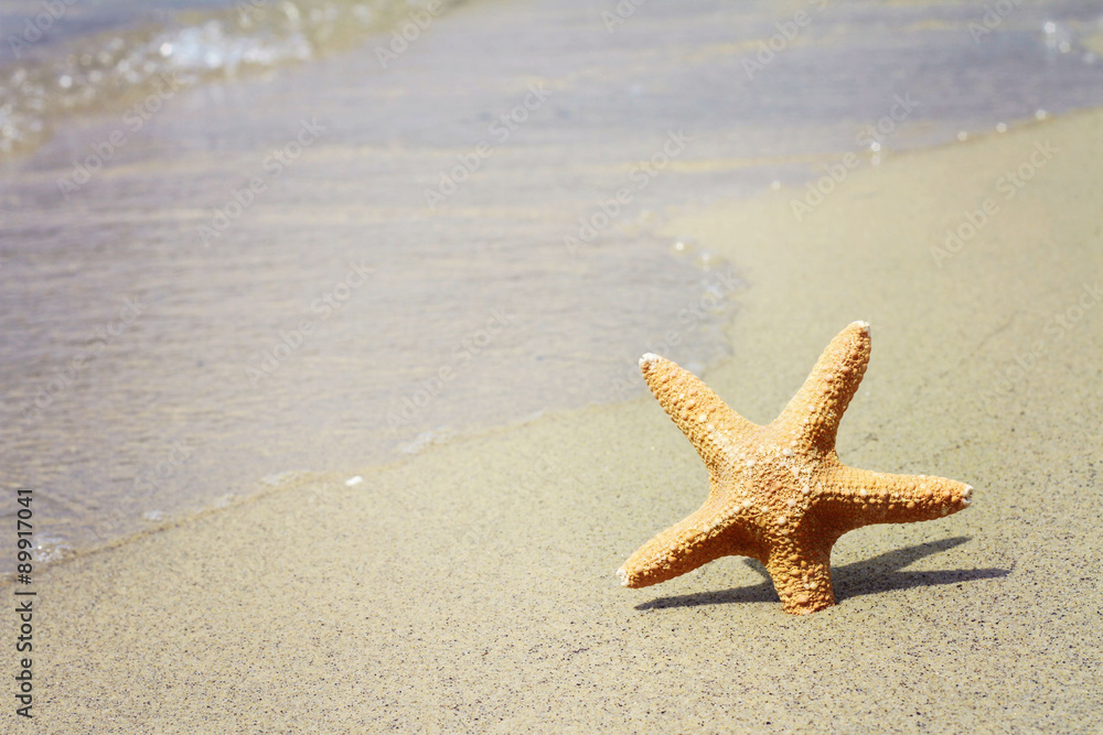 Starfish, sand, beach, sea. Summer holiday background Starfish, sand, beach, sea. Summer holiday background