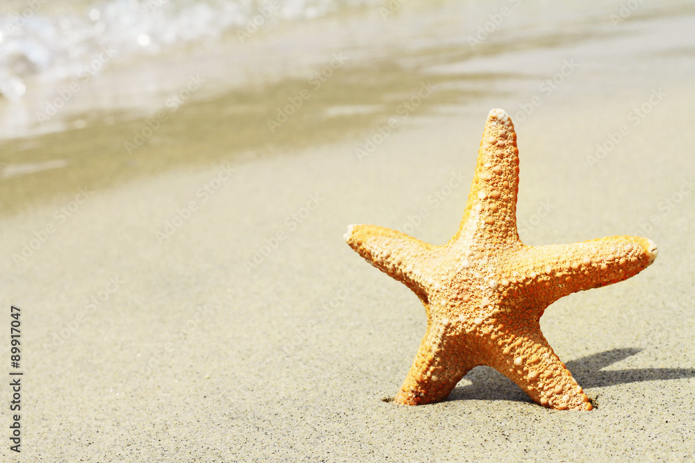 Starfish, sand, beach, sea. Summer holiday background Starfish, sand, beach, sea. Summer holiday background