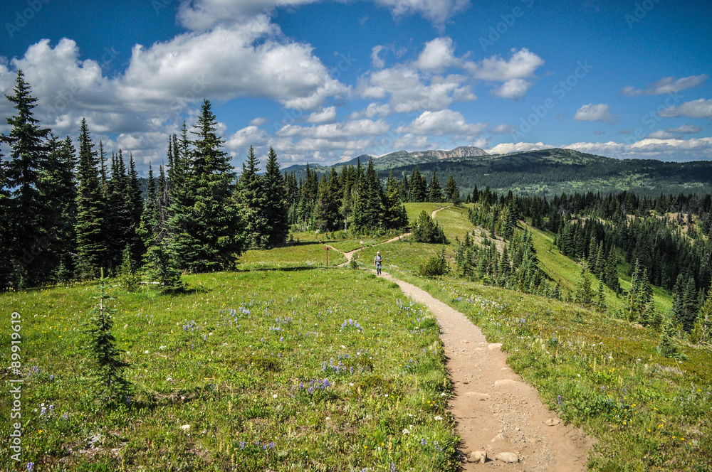 Obraz premium Discovering Revelstocke