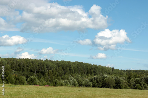 rural landscape field forest