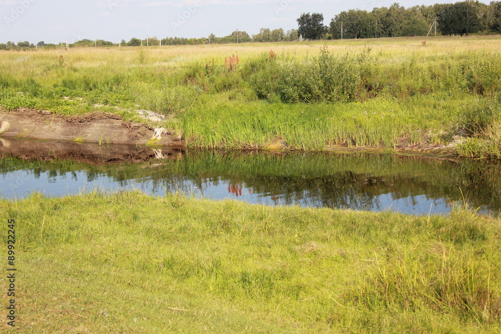 Pond in field near forest 18271