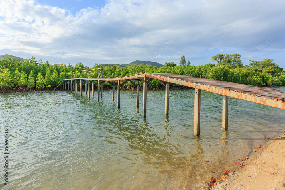 Small bridge in green mangrove forest in cloudy day