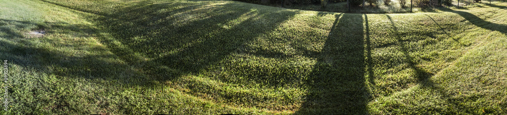 Panorama panoramica parco verde 