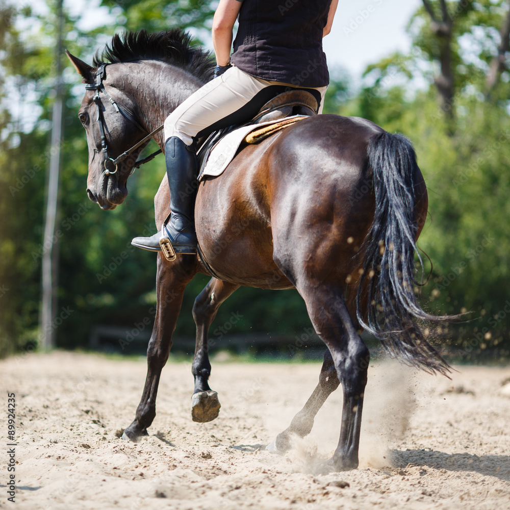 Obraz premium Horse rider running