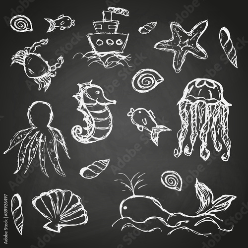 Fototapeta Naklejka Na Ścianę i Meble -  fish and sea life hand drawn doodle icons set on black board eps10