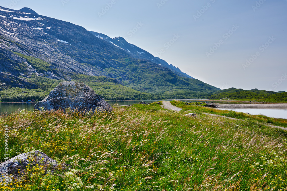 Norwegian fjord mountain landscape