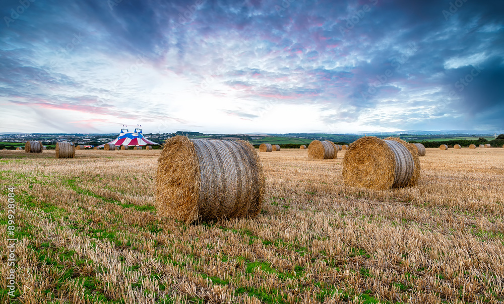 Fototapeta premium Newquay at Harvest Time