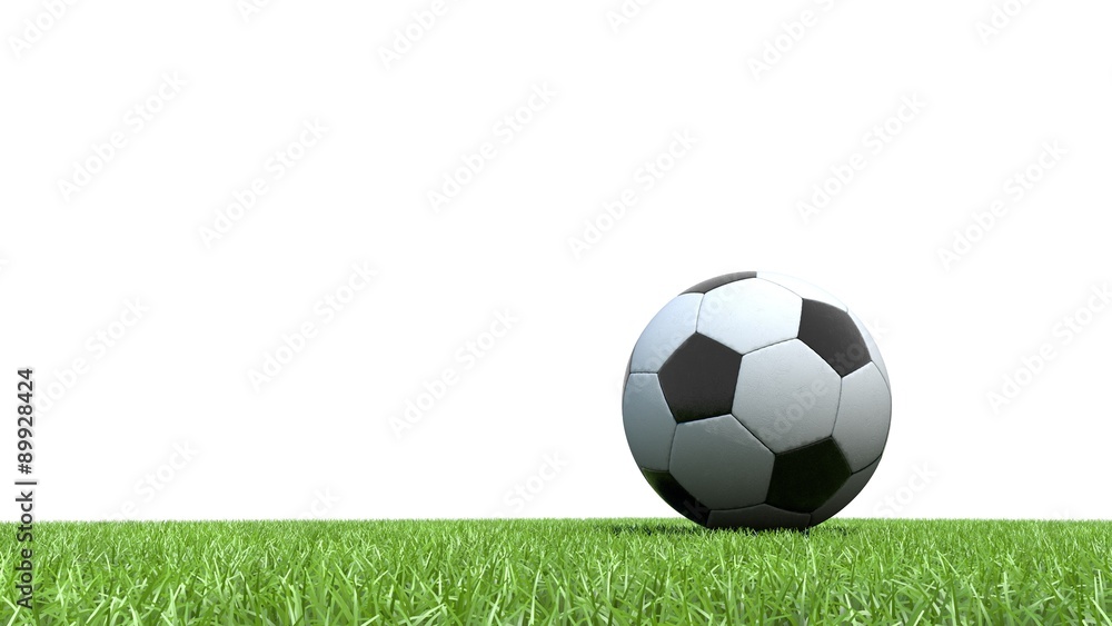 Fototapeta premium ballon football pelouse 03