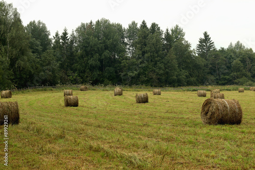 mown grass field stacks