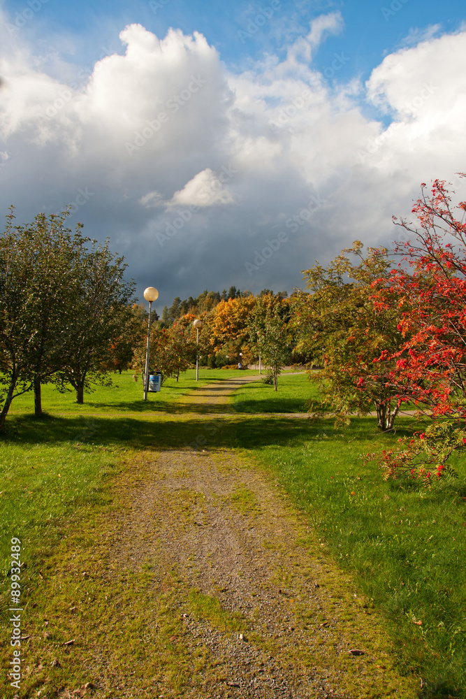 Naklejka premium Scene of autumn park in Finland