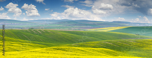 Panoramic background of beautiful yellow-green floral canola fie