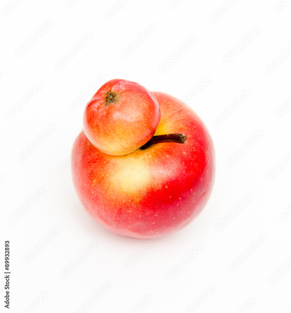 Red double Conjoined apple on white background Red double Conjoined apple on white background