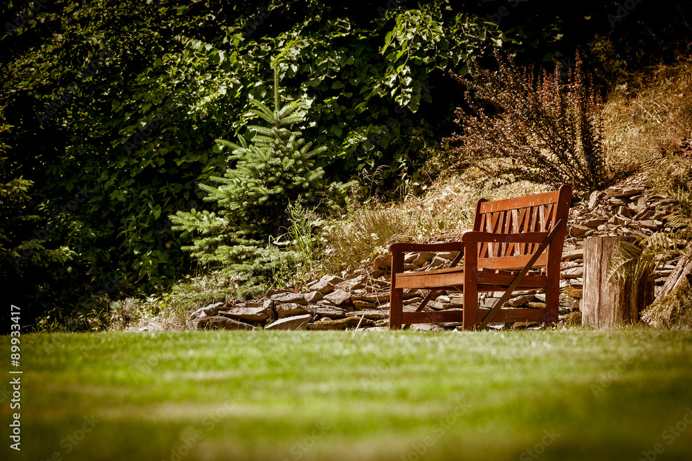 Bench in nature park