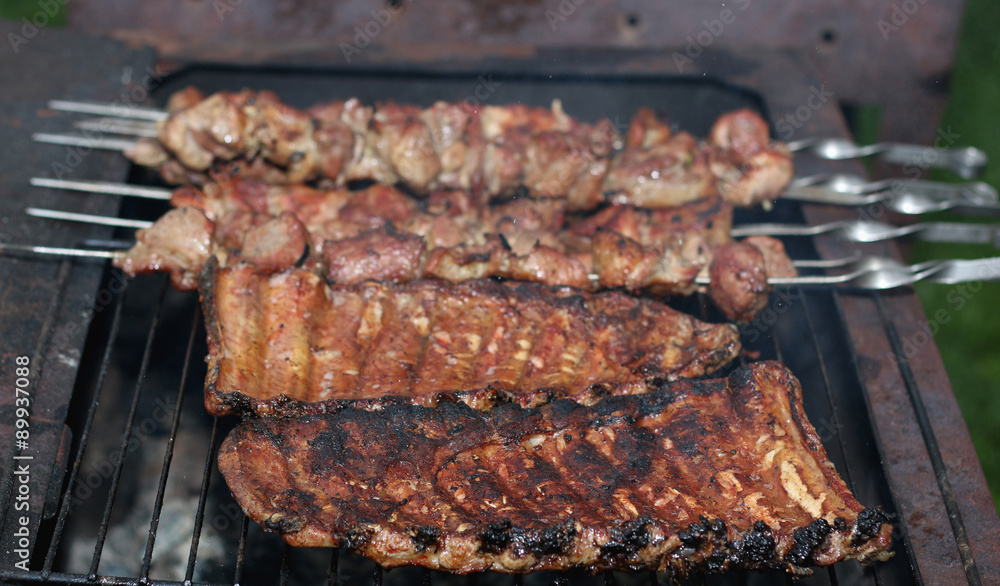 meat skewers on the barbecue coals meat skewers on the barbecue coals