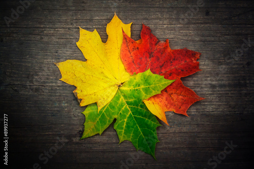 Red green and yellow leaf on wood background