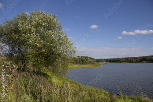 Fototapeta Naklejka Na Ścianę i Meble -  у реки