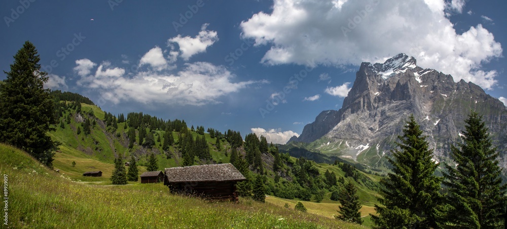 Swiss beauty, Grindelwald, meadows under Wetterhorn mount