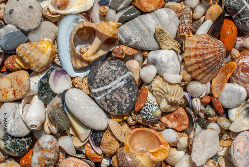 seashells and pebbles texture background