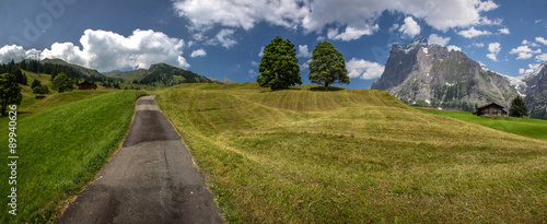 Swiss beauty, meadows in Grindelwald valley photo