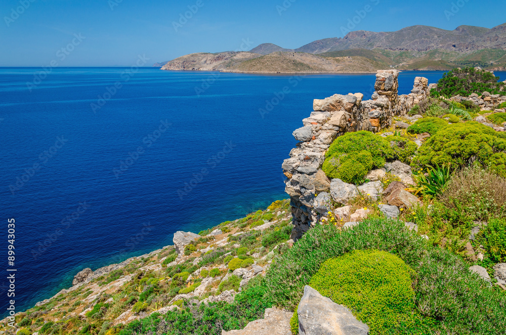 Greek sea bay with grass and bushes, Greece