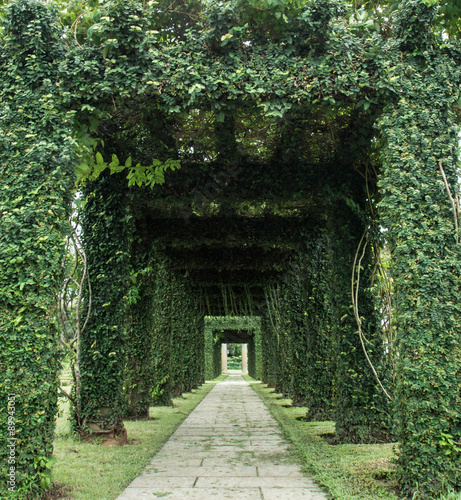 Fototapeta Naklejka Na Ścianę i Meble -  Green archway in a garden. 