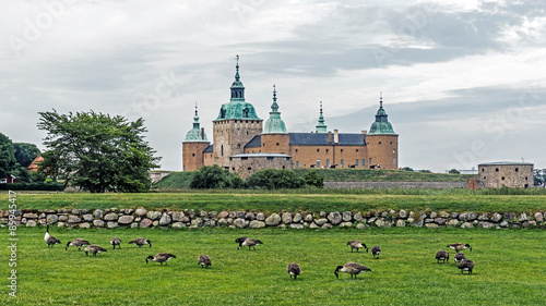 The Kalmar Castle preceded by the lawn with grazing Canada geese. 