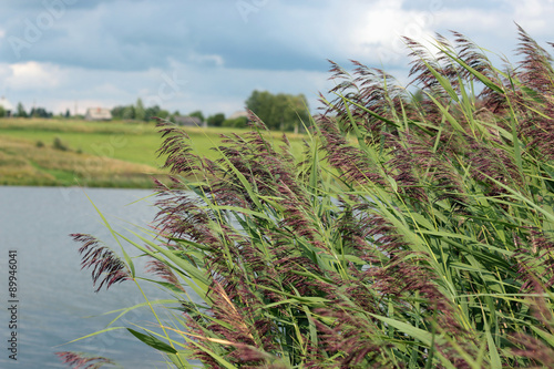 landscape in lake