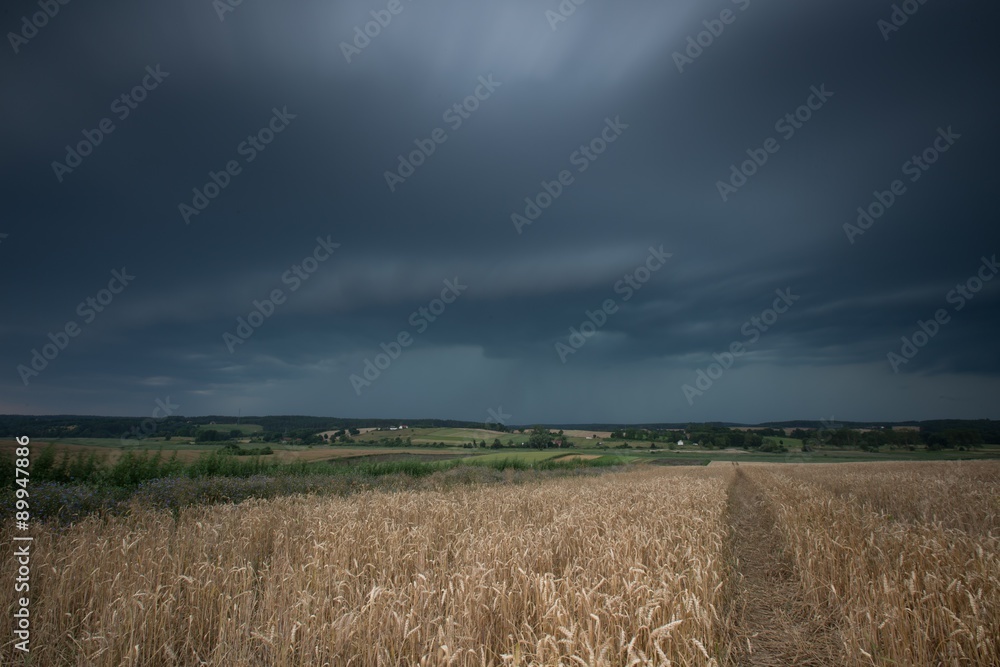 Vintage photo of storm clouds over wheat field