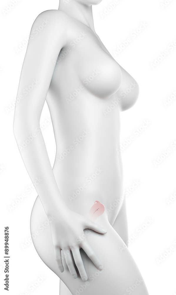 Naklejka premium medically accurate illustration of a pregnant woman - week 6