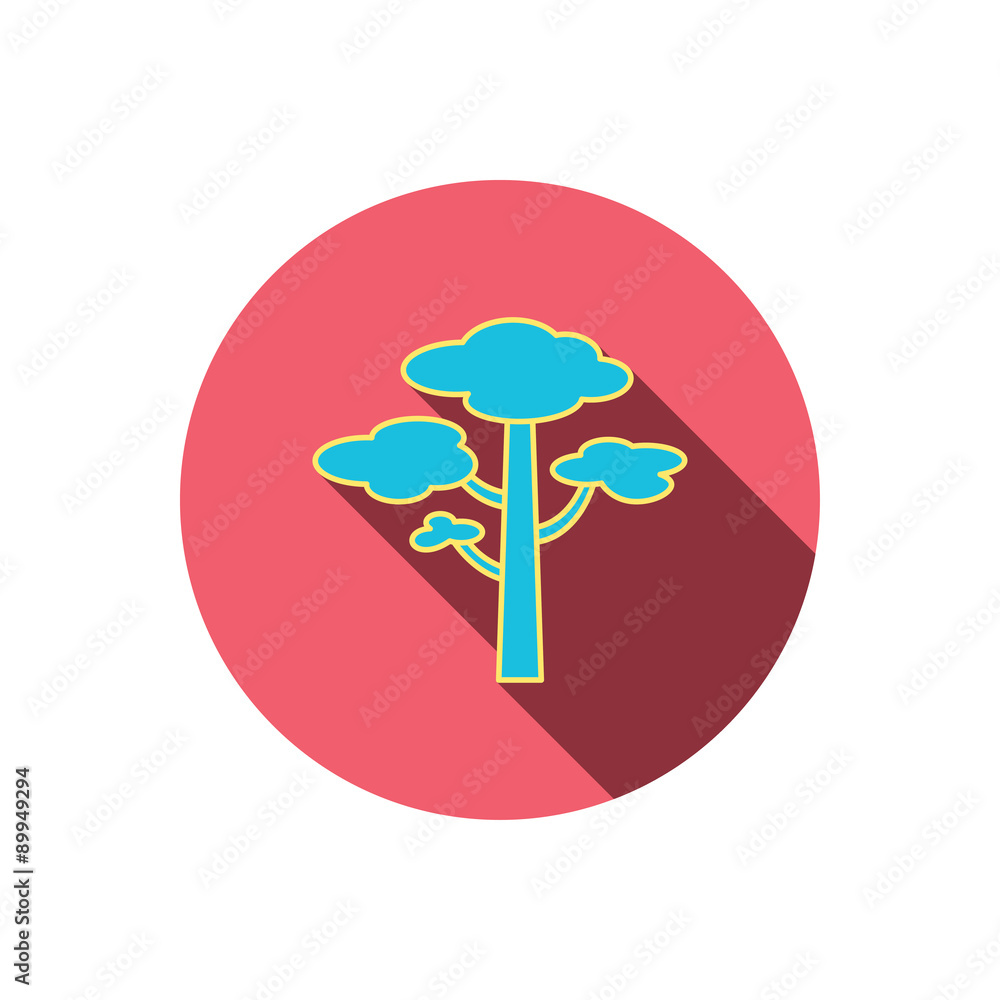 Pine tree icon. Forest wood sign.