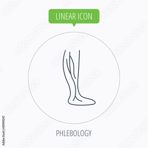 Phlebology icon. Leg veins sign.