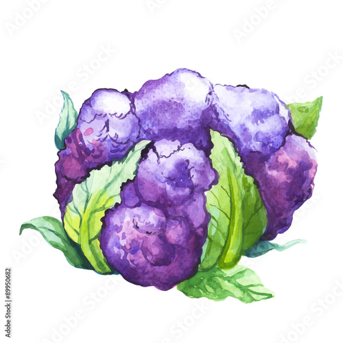 Vector illustration with watercolor vegetable.