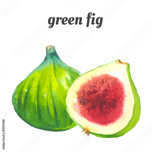 Vector illustration with watercolor fruit.