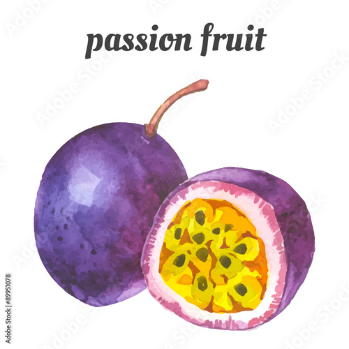 Vector illustration with watercolor fruit.