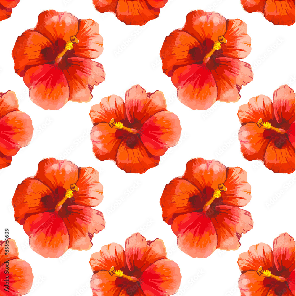 Vector illustration with red chinese hibiscus. Vector illustration with red chinese hibiscus.