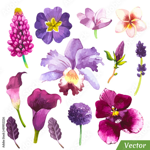 Vector illustration with watercolor flowers.