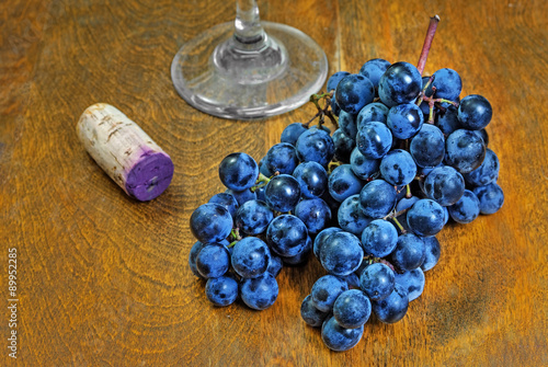 Wine Grape Still Life