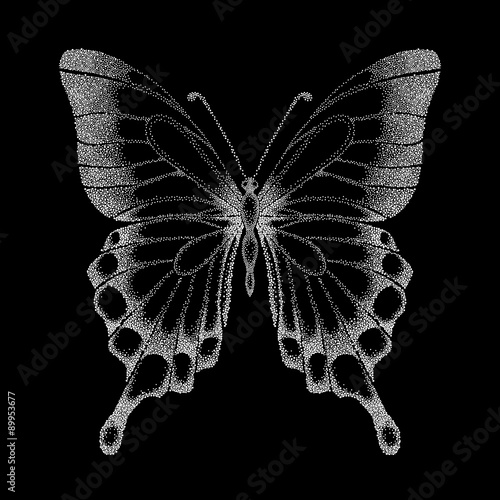 beautiful graphic black and white butterfly.