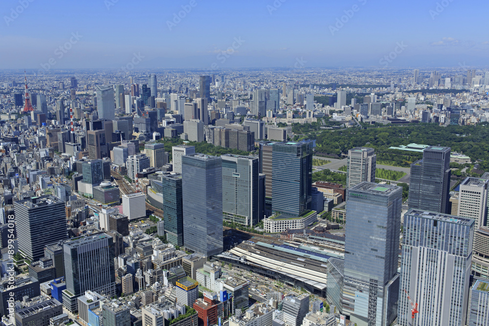 Fototapeta premium 東京の風景/空撮