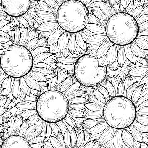 Fototapeta Naklejka Na Ścianę i Meble -  beautiful black and white seamless background with sunflowers. Hand-drawn contour lines and strokes