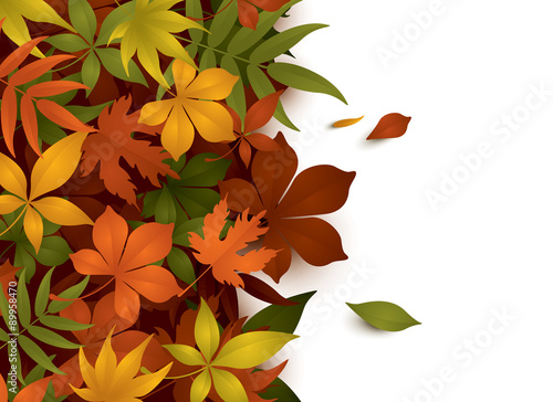 autumn background with copy space