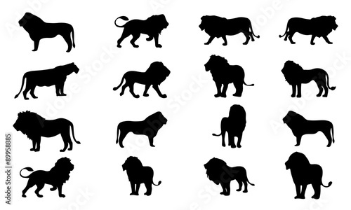 Fototapeta Naklejka Na Ścianę i Meble -  Lion Silhouette, set vector Animals Icons