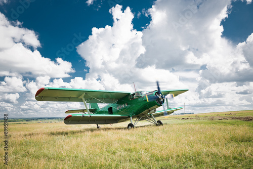 Canvas Print old airplane on green grass