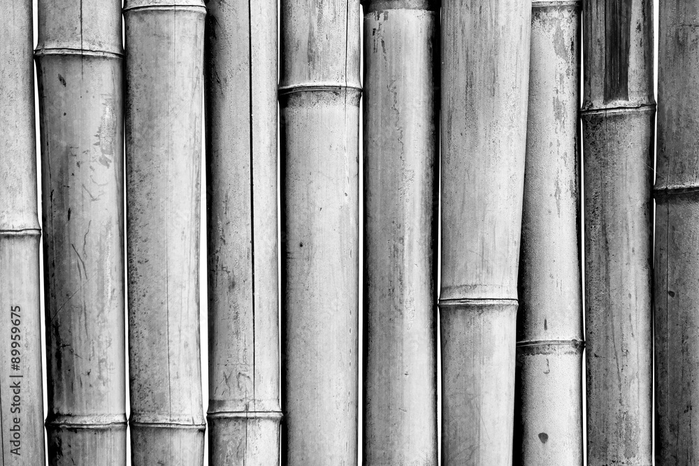 old bamboo background monochrome old bamboo background monochrome