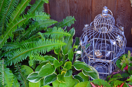 Decorative bird cage in green garden photo