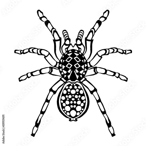 Zentangle stylized spider. Sketch for tattoo or t-shirt.