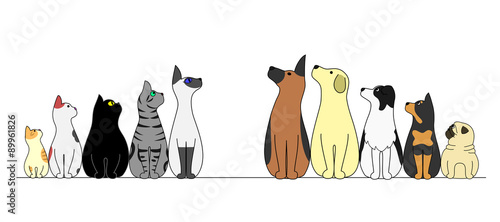 cats and dogs in a row,looking away
